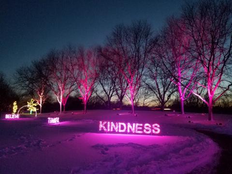 Winter Lights