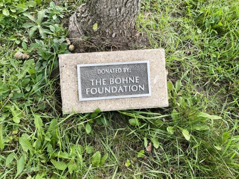 Memorial Tree in the Park 