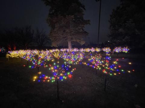 Winter Lights at Central Park 2026
