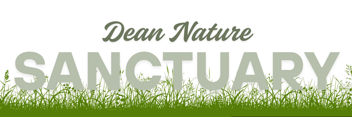 Dean Nature Sanctuary