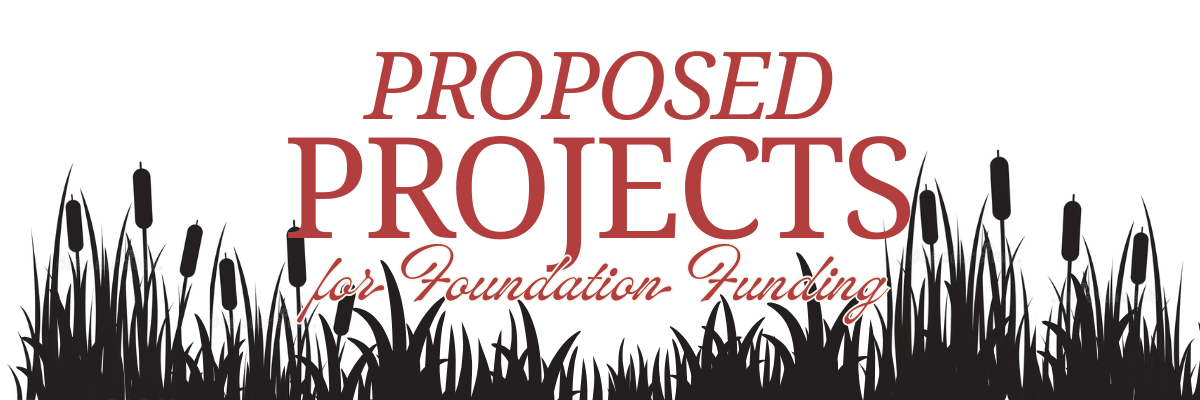 Proposed Projects for Foundation Funding